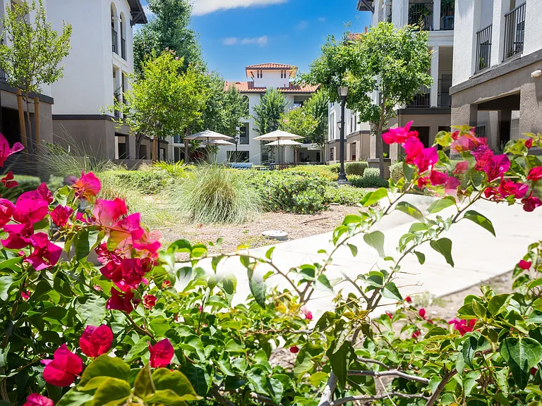55+ Community - FountainGlen at Terra Vista — Photo 28