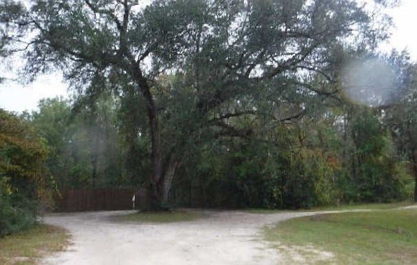 2nd image of 232 J & K Ln