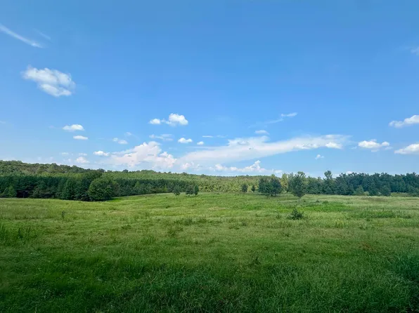 (undisclosed Address), Quitman, AR 72131