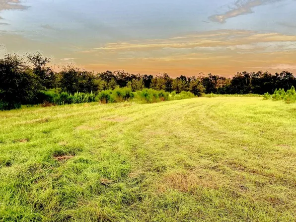 0 E Us Highway 27, Mayo, FL 32066