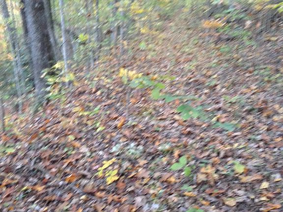 5th image of Mineral Springs Mountain Ave