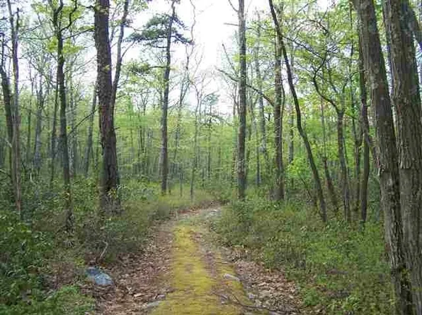 New Road, Wurtsboro, NY 12790