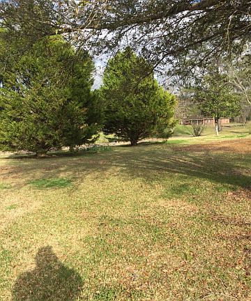 2nd image of 406 Belva Dr