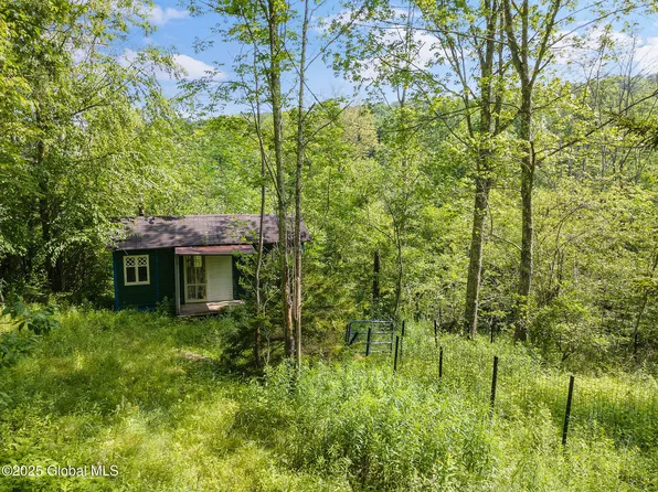 616 Enid Road, Summit, NY 12175