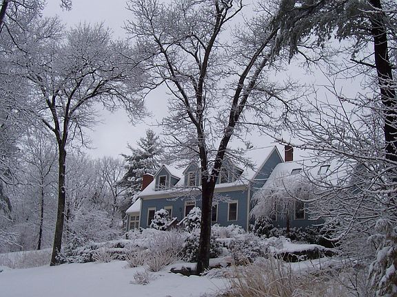 Winter