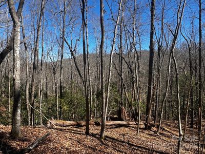 68 Cherrywood Ln, Pisgah Forest, NC, 28768