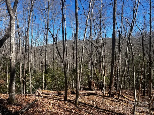 68 Cherrywood Ln, Pisgah Forest, NC 28768
