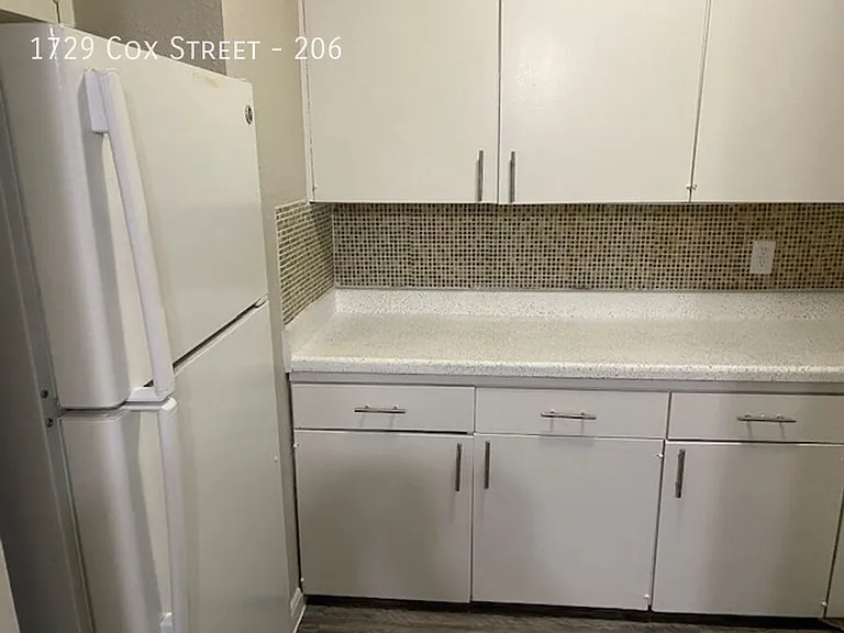 1729 Cox St — Photo 222