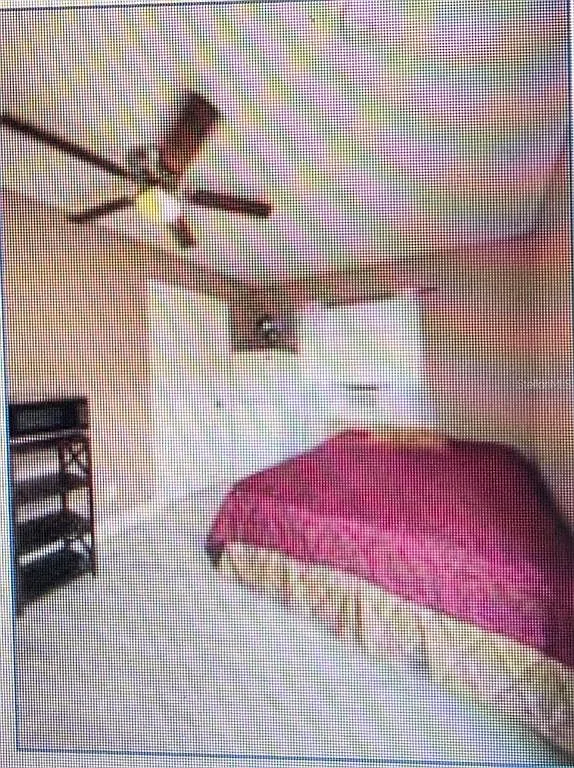 1 bed, 1.0 bath, 264 sqft, $800 — Photo 2