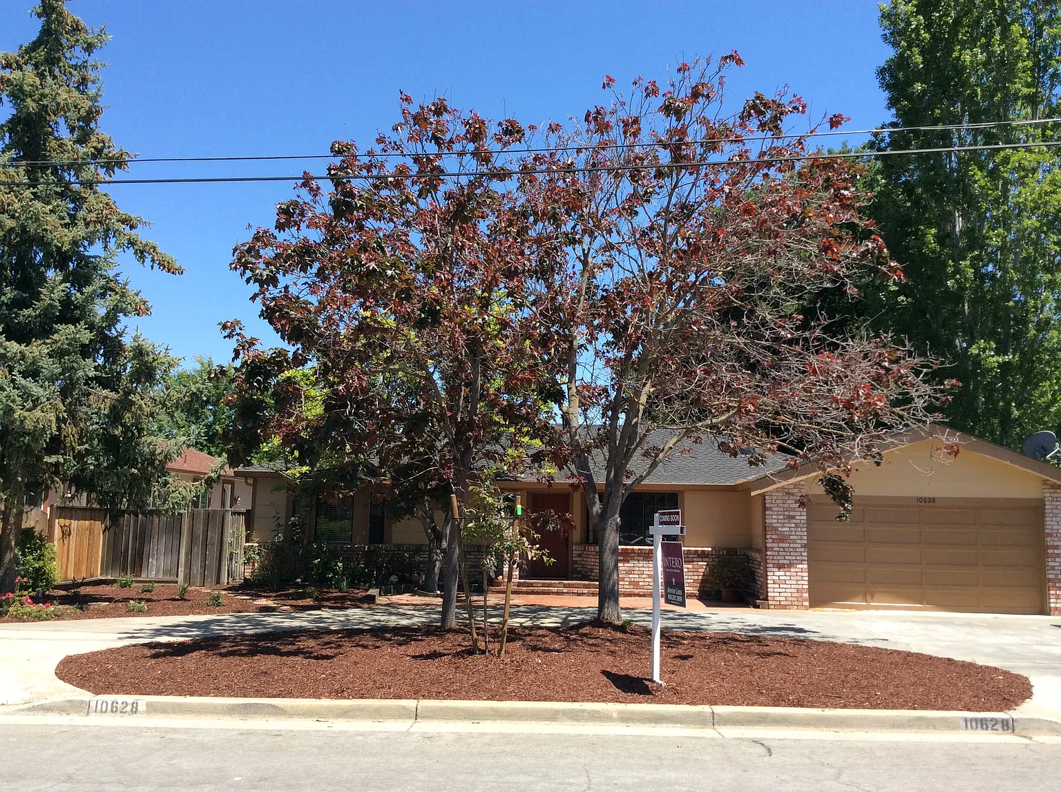 10628 Lonna Ln photo 1