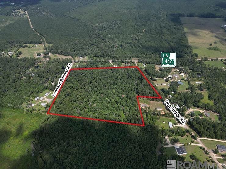 Pea Ridge Rd Pea Ridge Rd, Albany, LA 70711 | MLS #2024019487 | Zillow