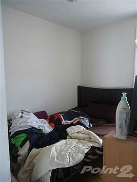 DSC02552