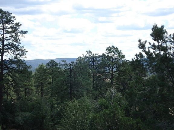 5th image of 2902 E Chuparosa Cir #18