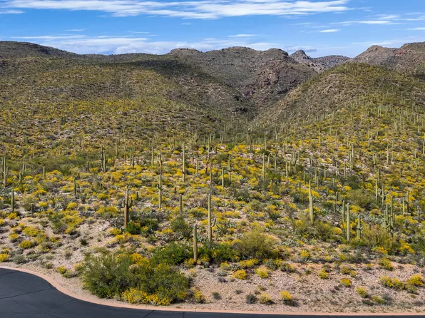 10681 E Gibbon Canyon Pl, Tucson, AZ 85749