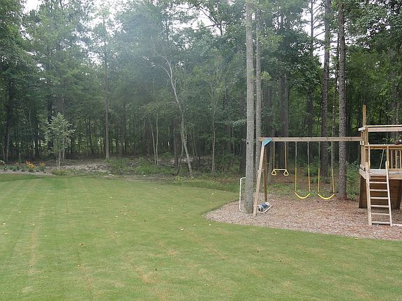 Playset and Backyard
