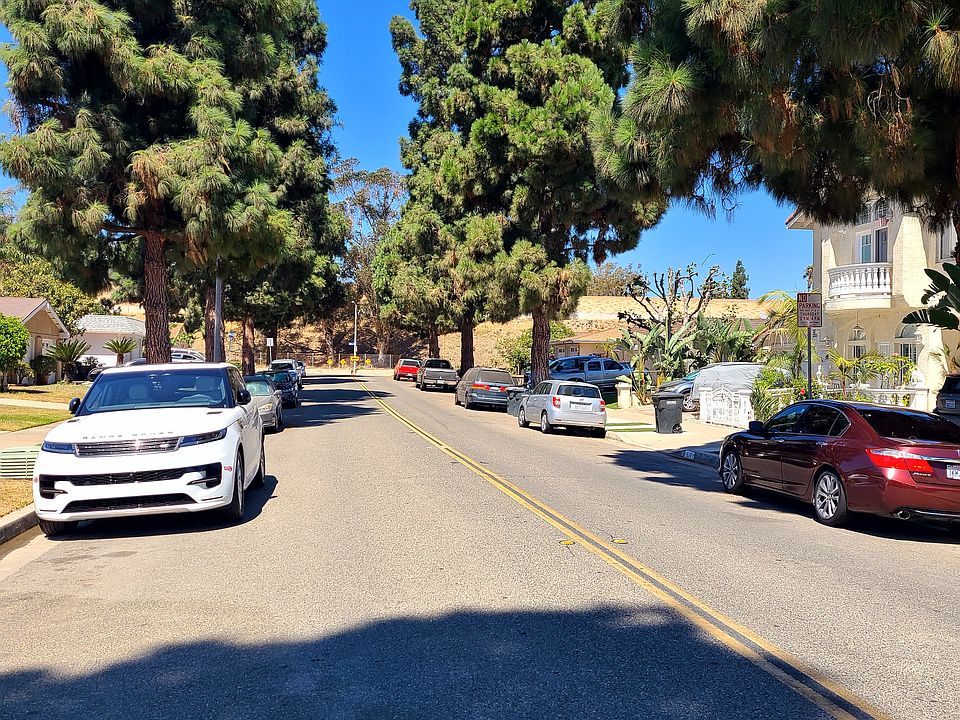 Tree lined street
