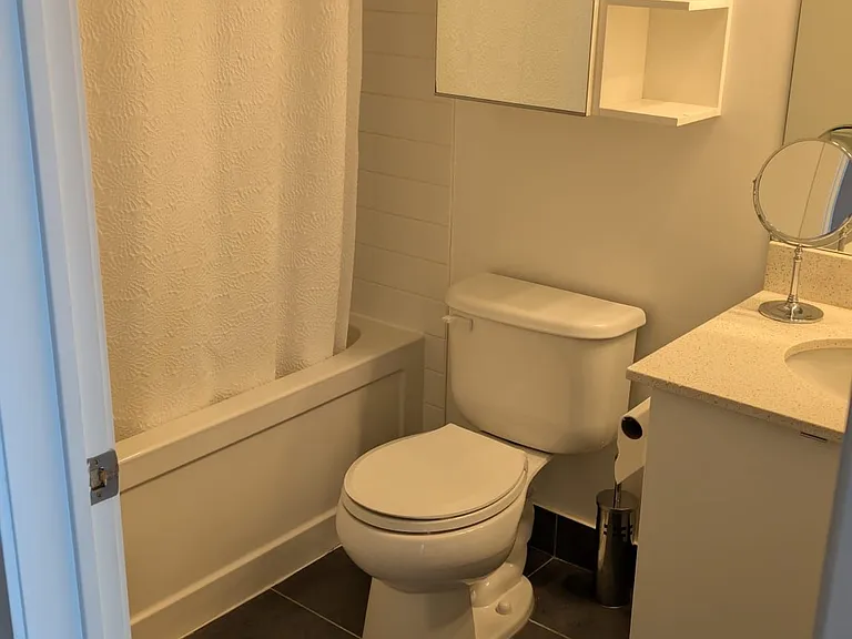 150 E Liberty St #1309 — Photo 16