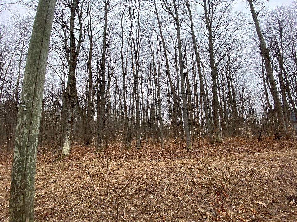 1st image of Pineview Dr