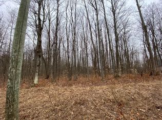 Pineview Dr, Mancelona, MI 49659