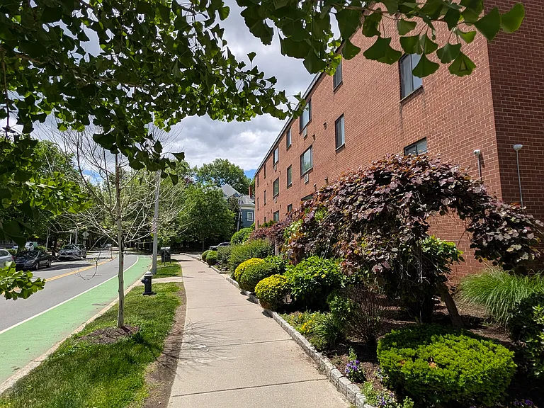 236 Babcock St #2 — Photo 24