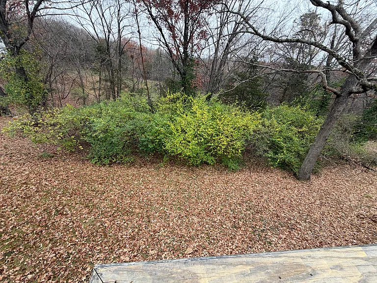 313 Pearl Dr — Photo 14