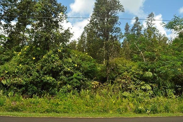1st image of N Kaupili St