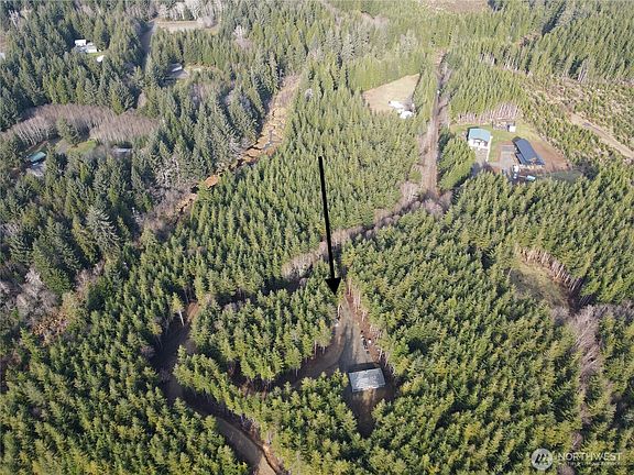 5th image of 97 Dempsey Creek Lane