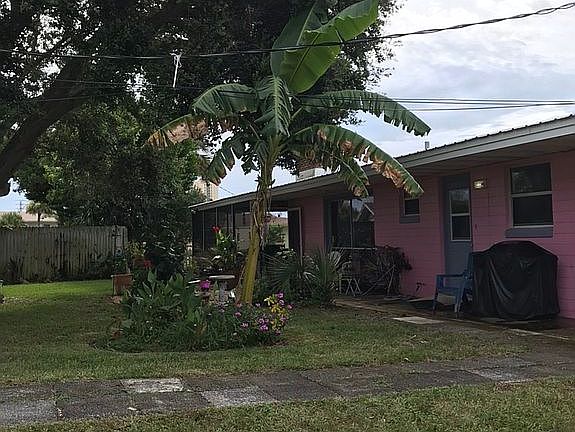 Banana palms