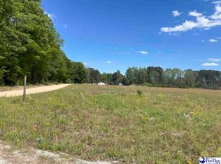 Hollyberry Ln, Florence, SC 29501