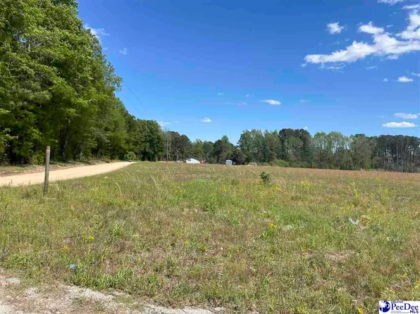 Hollyberry Ln, Florence, SC 29501