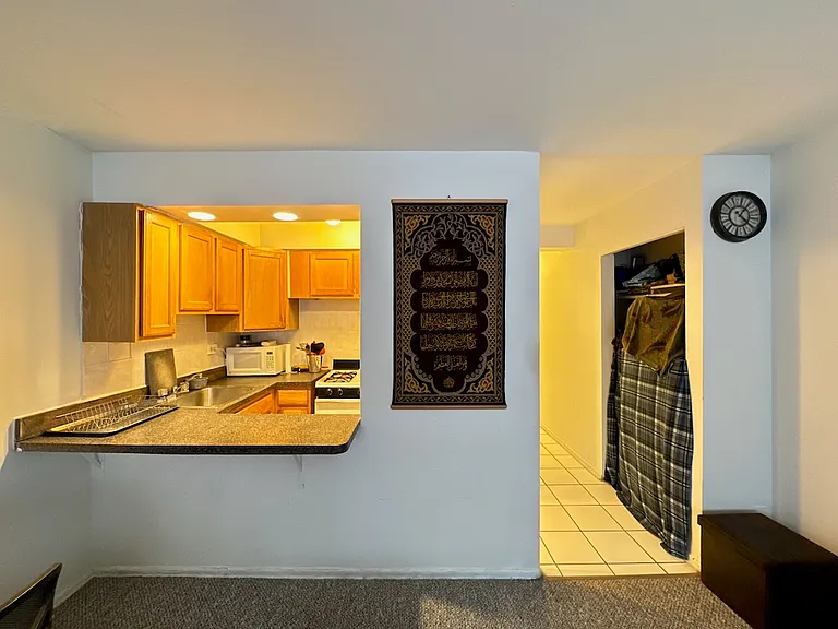 6830 N Sheridan Rd #962 — Photo 8