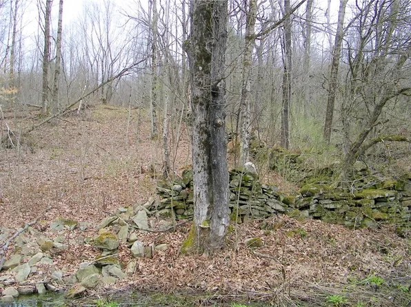 LOT 7 Salisbury Rd Lot 7, Westdale, NY 13483