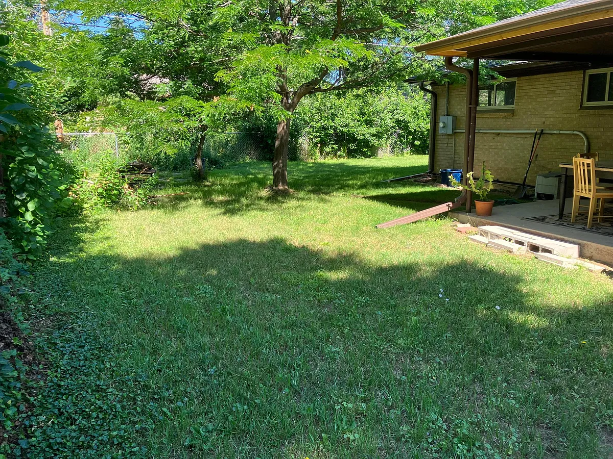 Backyard view looking at back patio - 545 S 45th St