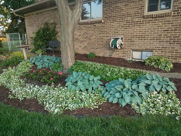 Side Shade Garden