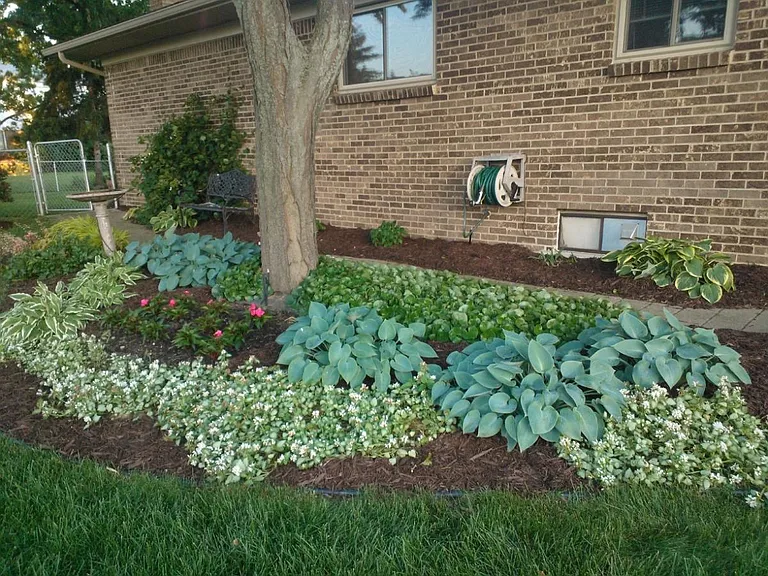 Side Shade Garden