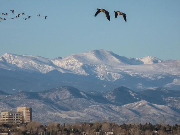 A December morning from the back patio