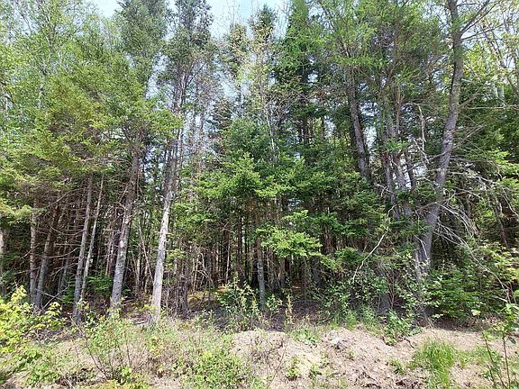 5th image of LOT 14 Walkerville Rd