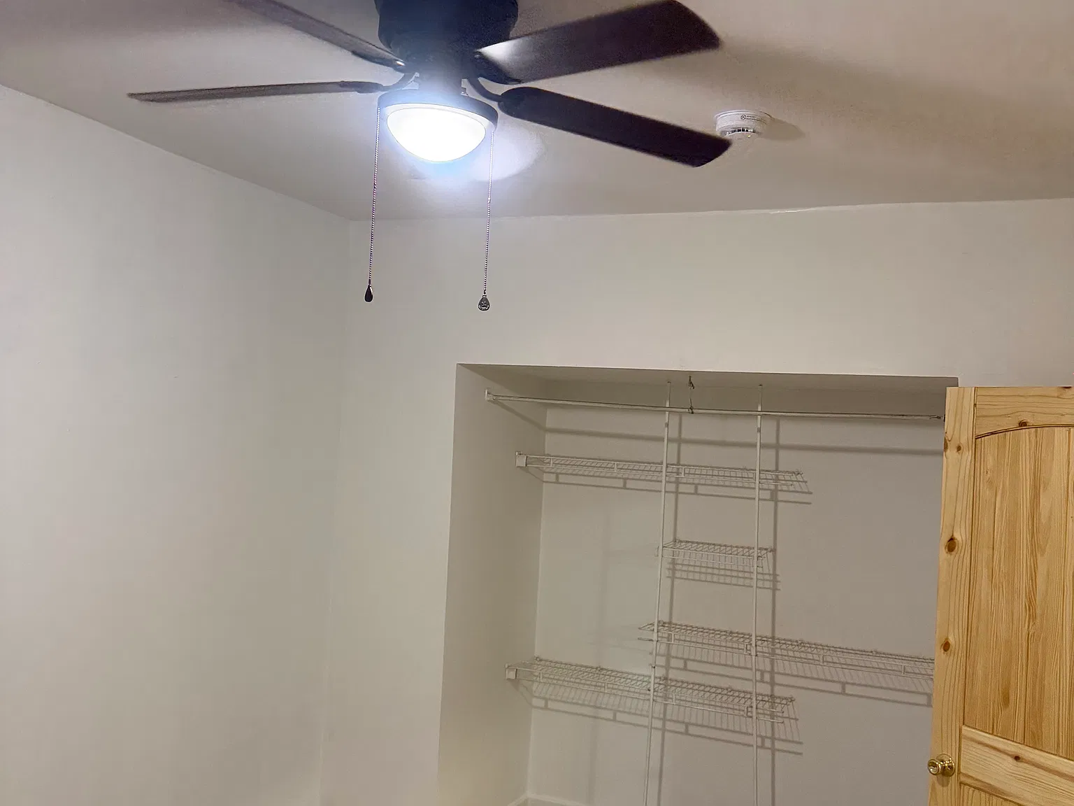 2 bed, 1000 sqft, $1,700 — Photo 2