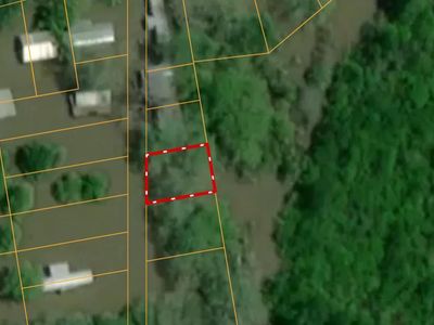 0 Tree Ln, Woodville, MS, 39669