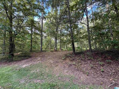 658 Griffin Rd #0, Chelsea, AL, 35043