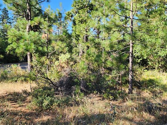 3rd image of 8671 La Porte Rd