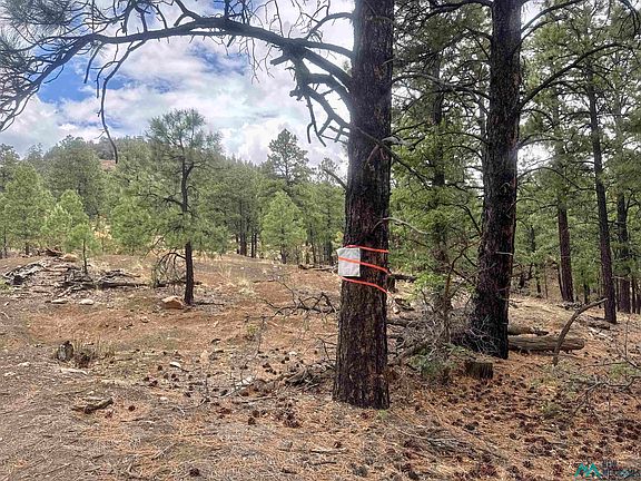 3rd image of Oso Ridge Lookout Rd