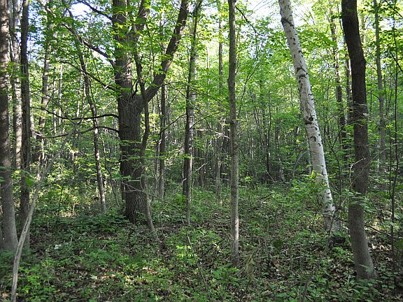 3rd image of 48.03 Acres Pioneer Dr