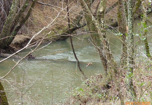 5th image of 1920 Creekstone Ln
