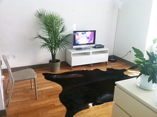 Rented by Elika Associates II, LLC | media 2