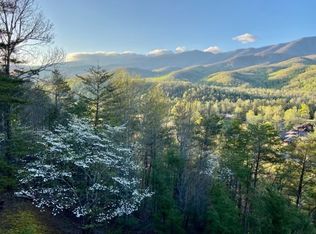 429 Deer Path Ln APT 206, Gatlinburg, TN 37738