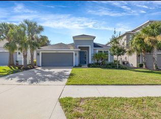 29774 Chapel Chase Dr, Wesley Chapel, FL 33545