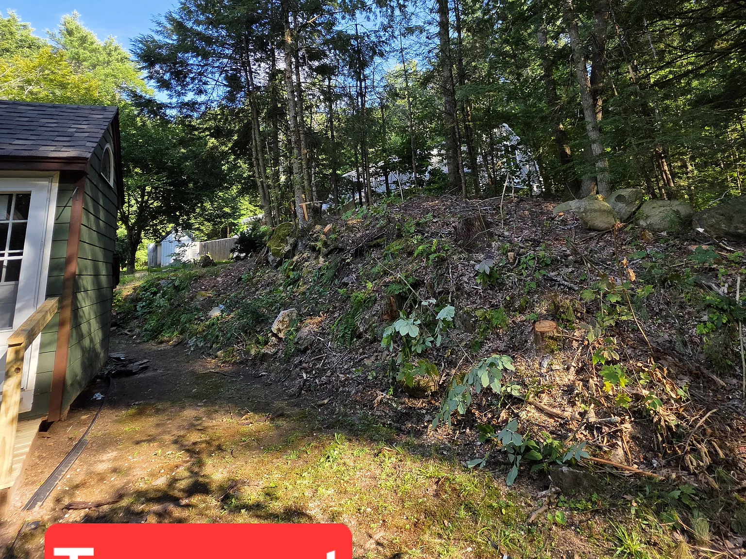 4 bed, 1500 sqft, $3,000 — Photo 2