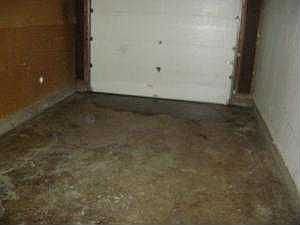 2nd image of 161 Frayne Dr