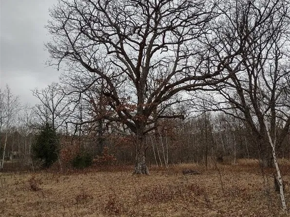 Lot 16 XXX 10 1/4 Avenue, Chetek, WI 54728